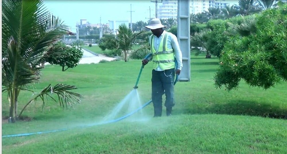 تبدیل پارکینگ غیرمجاز شمال تهران به فضای سبز