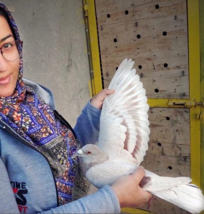 گزارشی از زنان «عشقباز»؛ حکایت زنانی که برای نخستینبار در مسابقات کبوترپرانی شرکت کردهاند